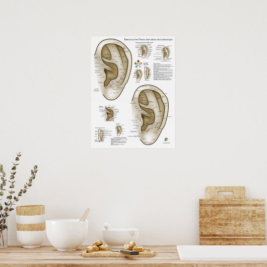 Spanish Ear Acupuncture Chart Poster (Keuken)