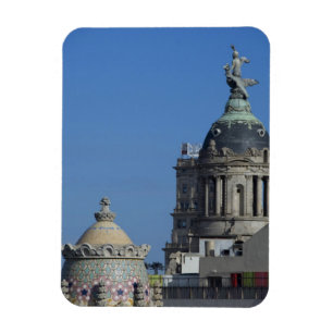 Spanje, Catalonië, Barcelona. Barcelona dak 2 Magneet