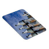 Spanje, Catalonië, Barcelona. Casa Batllo (1906) 2 Magneet (Rechterzijde)