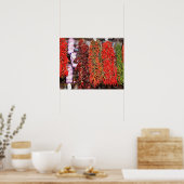 Spanje, Catalonië, Barcelona, La Boqueria-markt Poster (Keuken)