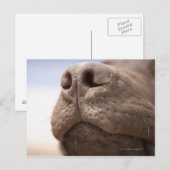 Spanje, Costa Blanca, Sluiting chocolade Briefkaart (Voorkant / Achterkant)