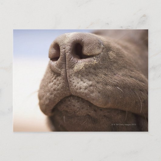 Spanje, Costa Blanca, Sluiting chocolade Briefkaart (Voorkant)
