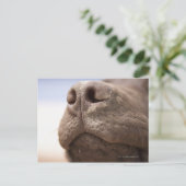 Spanje, Costa Blanca, Sluiting chocolade Briefkaart (Staand voorkant)
