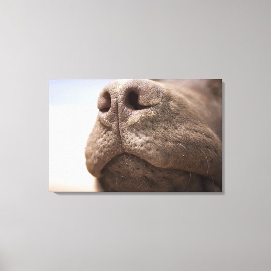 Spanje, Costa Blanca, Sluiting chocolade Canvas Afdruk (Voorkant)