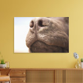 Spanje, Costa Blanca, Sluiting chocolade Canvas Afdruk (Insitu (Woonkamer))