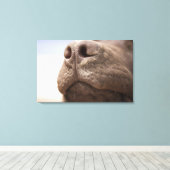 Spanje, Costa Blanca, Sluiting chocolade Canvas Afdruk (Insitu (Houten vloer))