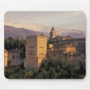 Spanje, Granada, Andalusië De Alhambra, Muismat