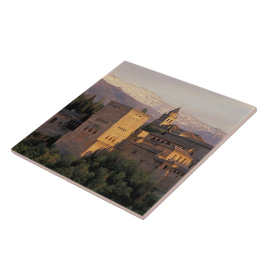 Spanje, Granada, Andalusië De Alhambra, Tegeltje (Zijkant)