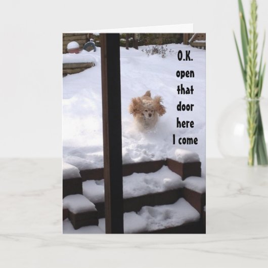 SPANJE IS KLAAR OM TE ZEGGEN ***GELUKKIGE VERJAARD KAART (Voorkant)