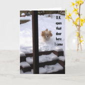 SPANJE IS KLAAR OM TE ZEGGEN ***GELUKKIGE VERJAARD KAART (Gele Bloem)