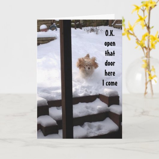 SPANJE IS KLAAR OM TE ZEGGEN ***GELUKKIGE VERJAARD KAART (Gele Bloem)