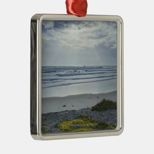 Spanje kust met Gele Bloemen en Sun Beams Metalen Ornament (Rechts)