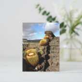Spanje Lanzarote 04 cactus tuin Briefkaart (Staand voorkant)