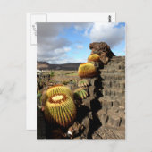 Spanje Lanzarote 04 cactus tuin Briefkaart (Voorkant / Achterkant)