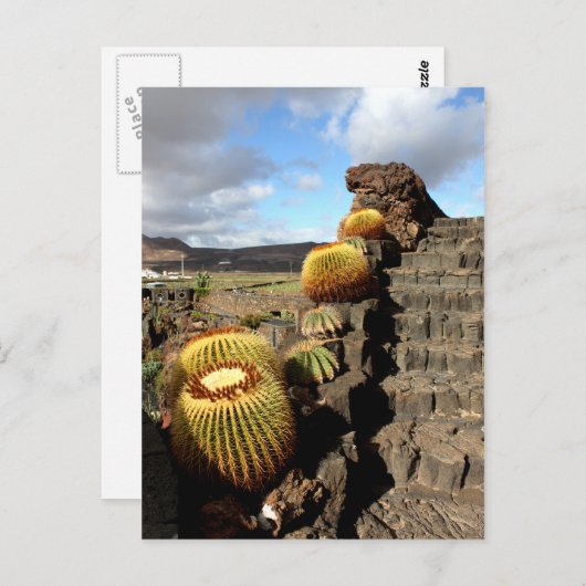 Spanje Lanzarote 04 cactus tuin Briefkaart (Voorkant / Achterkant)