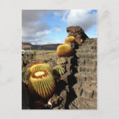 Spanje Lanzarote 04 cactus tuin Briefkaart (Voorkant)
