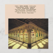  Spanje, Sallamanca, Hogerbuisje, Briefkaart (Voorkant / Achterkant)