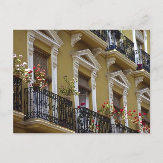Spanje, Sevilla, Andalusië Geraniums hang over Briefkaart (Voorkant)