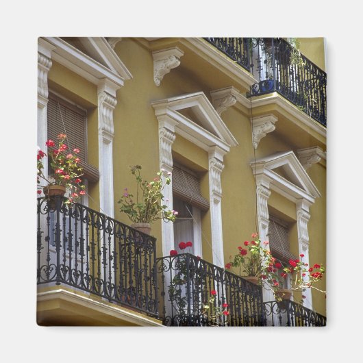 Spanje, Sevilla, Andalusië Geraniums hang over Magneet (Voorkant)