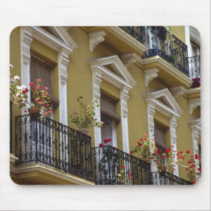 Spanje, Sevilla, Andalusië Geraniums hang over Muismat