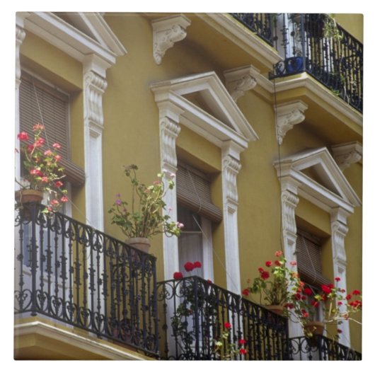 Spanje, Sevilla, Andalusië Geraniums hang over Tegeltje (Voorkant)