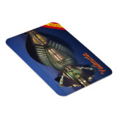 Spanje - Valencia - Magneet (Rechterzijde)