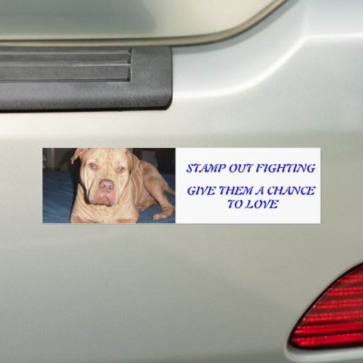 SPANKY BUMPERSTICKER (Op auto)