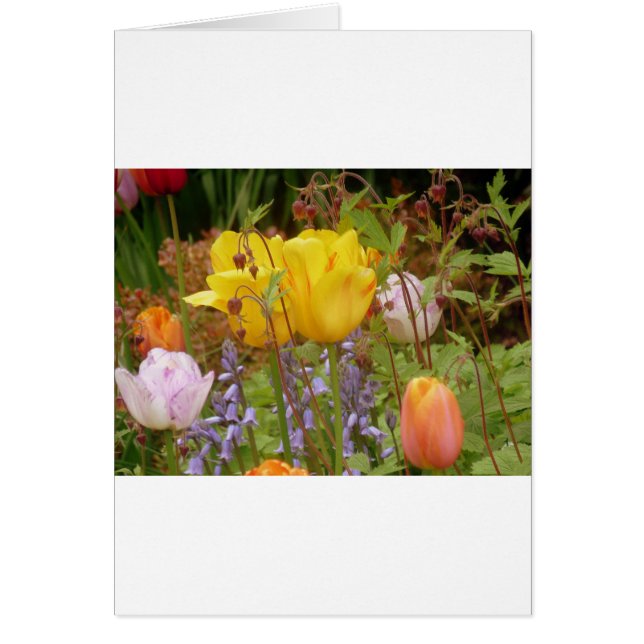 Spanningsbloemen (Voorkant)