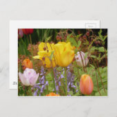 Spanningsbloemen Briefkaart (Voorkant / Achterkant)