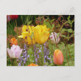 Spanningsbloemen Briefkaart