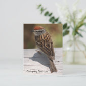 Spanningsreserve (A) Briefkaart (Staand voorkant)