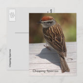 Spanningsreserve (A) Briefkaart (Voorkant / Achterkant)