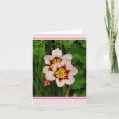 Sparaxis bloemen  kaart (Voorkant)