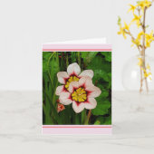 Sparaxis bloemen  kaart (Gele Bloem)