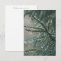 Sparboom - seizoensgebonden winter  aangepaste naa