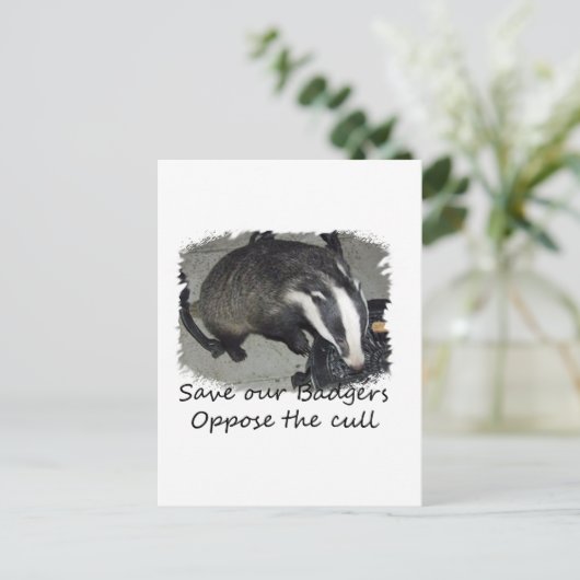 Sparen British Badgers, verzet zich tegen de dasse Briefkaart (Staand voorkant)