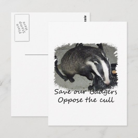 Sparen British Badgers, verzet zich tegen de dasse Briefkaart (Voorkant / Achterkant)