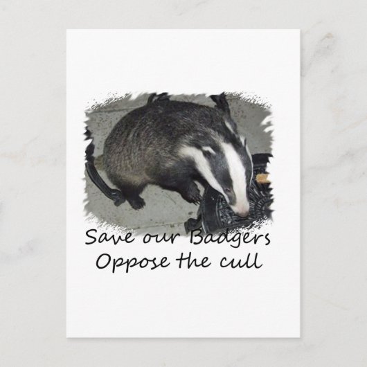 Sparen British Badgers, verzet zich tegen de dasse Briefkaart (Voorkant)