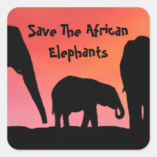 Sparen de Afrikaanse olifanten Vierkante Sticker