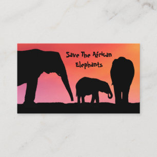 Sparen de Afrikaanse olifanten Visitekaartje