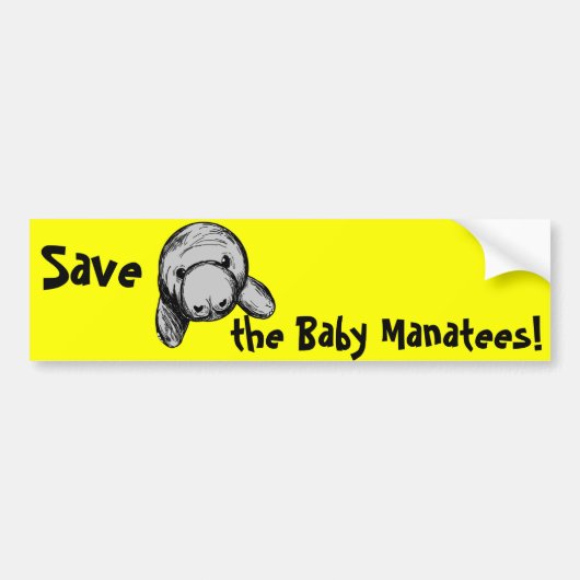 Sparen de Baby Manatees! Bumpersticker (Voorkant)