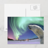 Sparen de Bedreigde Polaire Beren voor Kerstmis Feestdagenkaart (Voorkant / Achterkant)