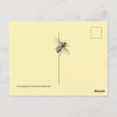 Sparen de bijen bijen Afbeeldingen Briefkaart (Achterkant)