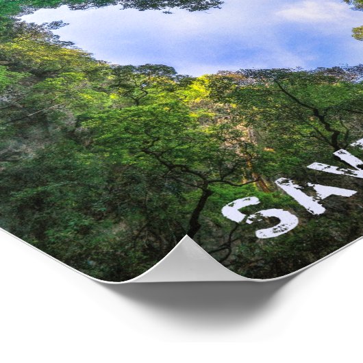 Sparen de bomen bos het landschap van het hart Eco Poster (Hoek)