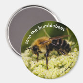 Sparen de Bumblebijen die de bloeiende Wit drijven Magneet (Voorkant / Achterkant)
