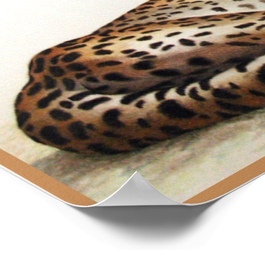 Sparen de Cheetah Poster (Hoek)