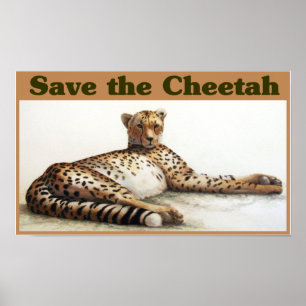 Sparen de Cheetah Poster
