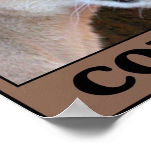 Sparen de Cougar Poster (Hoek)