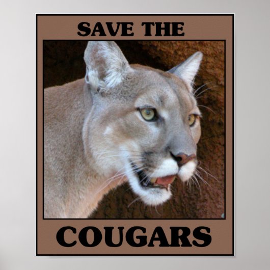 Sparen de Cougar Poster (Voorkant)