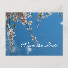 Sparen de date, kersenbloesem takken in de blauwe  aankondigingskaart